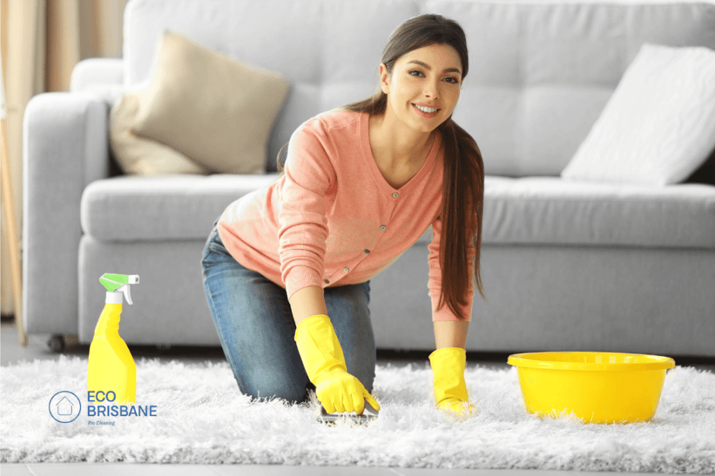 Carpet maintenance (1)