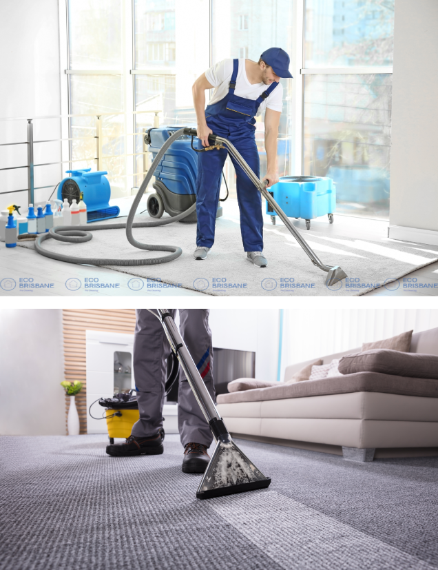 Carpet care services