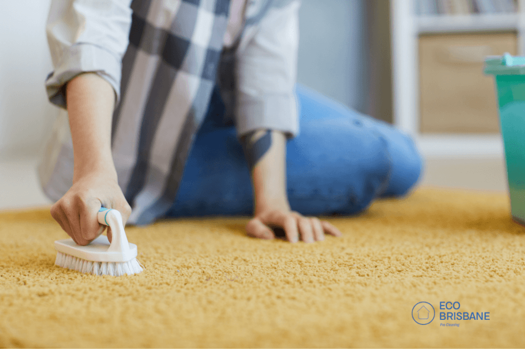 Carpet maintenance 